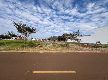 Terreno · Terreno, localizado na Vila Industrial - Próximo do Lago Norte - São 371,40 m² ( 12,38 x 30,00 ) - P