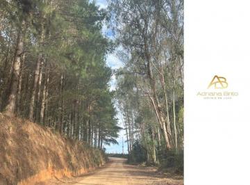 Rural de 3 quartos, Mandirituba · "ENCANTADORA" - Especial e Aconchegante