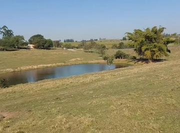 Comercial · SÍTIO PARDINHO - PARDINHO / SP