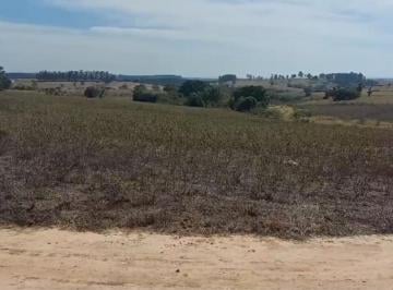 Comercial · 20000m² · SÍTIO ANHEMBI - ANHEMBI / SP