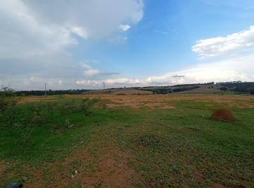 Comercial · SÍTIO PARDINHO - PARDINHO / SP