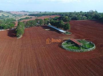 a144f694fe692b189d9f3e7706395d54f374dd97 · Fazenda à Venda em Itapetininga - SP