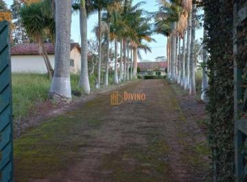 d00b42a8c0b95725cf76ec77404a8955dff5a43b · Sítio à Venda - Zona Rural
