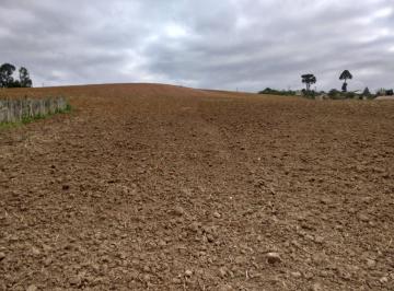 Terreno , Contenda · ÁREA EM CONTENDA SÃO JOÃO COM 128.000 M². PROXIMO AO CENTRO