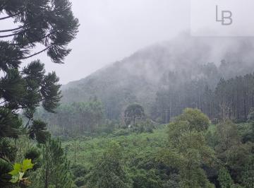 Rural · 20000m² · Sítio à venda no bairro Boa Esperança - Rolante/RS