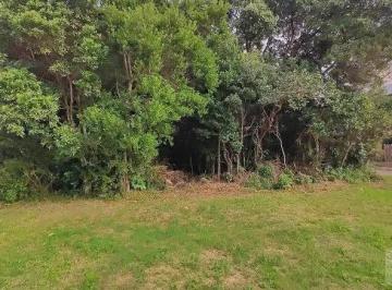 terreno-lote-condominio-a-venda-371m-no-campeche-florianopolis (12) · Terreno de 385.61m² no bairro Campeche