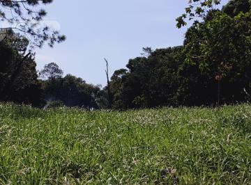 Terreno · 11000m² · Terreno em Iguape SP Ivo Zanella  -  Iguape
