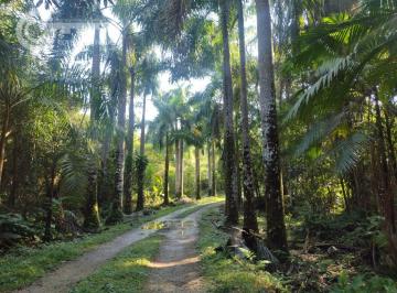 Rural · 12m² · Sítio em Zona Rural  -  Pariquera-Açu SP