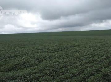 Rural · 2500m² · Fazenda em Zona Rural  -  Sorriso