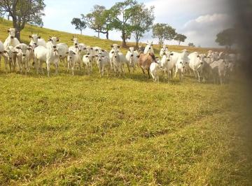 Rural , Oliveira · FAZENDA 130HA EM OLIVEIRA MG