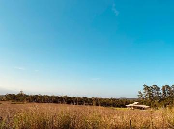 Rural · 15000m² · TERRENO VERDINHO