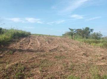 Foto 01 · Terreno, Estrada Bairro da Estrela Residencial Recanto Feliz Tabapuã, Tabapua, SP