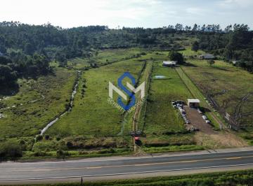 Foto 01 · Chácara/sítio/fazenda, Aldeia Velha, Santo Antônio da Patrulha, RS
