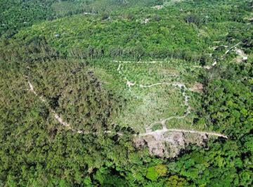 Rural , Mairiporã · Sítio com 11 alq. em Mairiporã, 500m do asfalto.