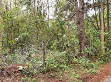 propriedade-de-21-859-25-m-no-alto-da-caledonia-friburgo-rj-te007-28-1859160.jpeg · Propriedade de 21.859,25 m² no Alto da Caledônia Friburgo/RJ