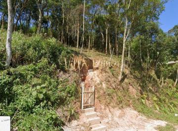Terreno · 420m² · Terreno, Ponte Seca, Ribeirão Pires - R$ 170 mil, Cod: 726