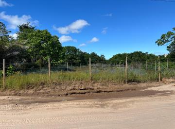 Terreno , Maraú · Barra grande , península de marau , 450m , oportunidade