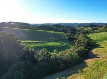 Foto 05 · Área em Campo Alegre - 40.000,00m²