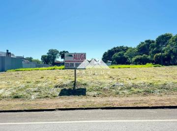 583dbeab531243c5f1cc4cd7c2a0196454e28b51 · Terreno para alugar, 625 m² por R$ 3.100,00/mês - Jardim Panorama - Foz do Iguaçu/PR