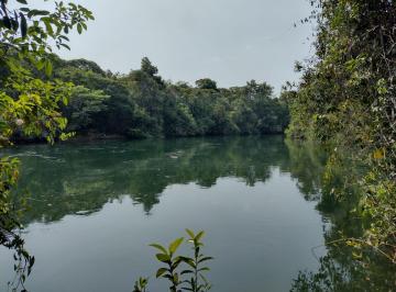 Rural de 5 quartos, Nova Maringá · Fazenda Cidade De Nova Maringá Mato Grosso