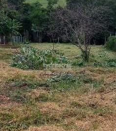 chkybr02ytiwmjqymjzjnwrm_md · Chácara à venda, rural, Warta, PR