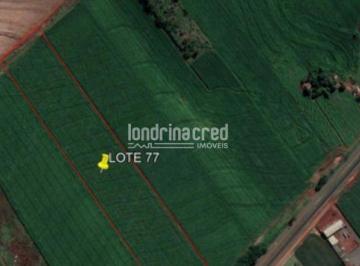 giui0ki2ytiwmwfjn2jhytiy_md · Chácara à venda Zona Rural, Água Boa - PR