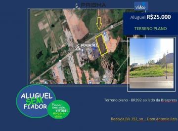 Terreno · 20000m² · Terreno plano - BR392 ao lado da Braspress