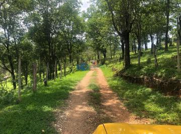 imovel_457_5226.jpg · Linda propriedade com 30 hectares, ótima topografia, á 20 minutos de BH.