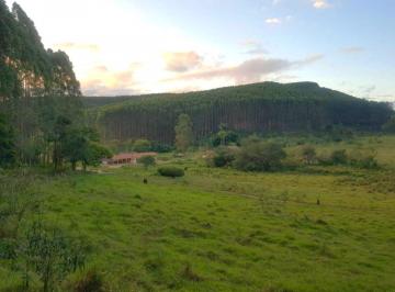 Rural en Venda Centro · Ref.: 118| Fazenda 774ha, com plantação de eucaliptos, Paraibuna-SP