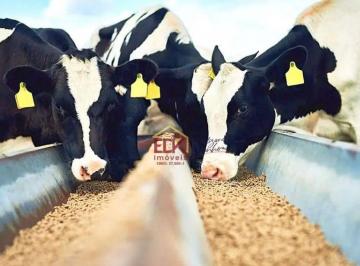 303f56a5b7e264276a3c25edd891e7518c094a68 · Indústria Ração Nutrição Animal Agronegócio - Lucro Líquido R$ 1.300.174 - Margem Líquida R$ 14,22%!