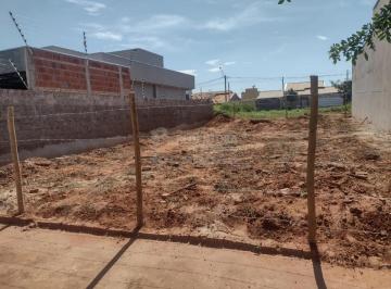 Terreno , São José do Rio Preto · Vila Nobre - 200m² plano