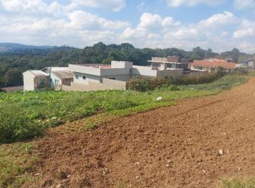 Foto 08 · Terreno, Butiatuvinha, Curitiba, PR