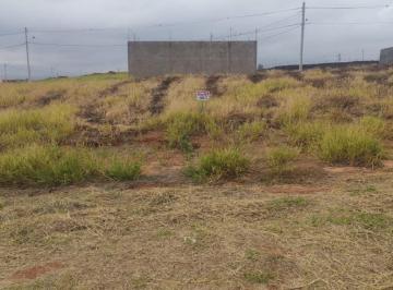 Foto 01 · Terreno à venda em Campinas-SP, no Jardim Ipaussurama, com 250m² de área!