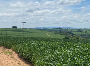 Foto 23 · Fazenda à venda em Itapetininga-SP: 2 quartos, 1 sala, 1 banheiro e 3.484.800,00 m² de área!