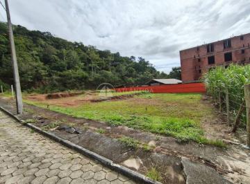 Terreno en Venda  Cedro · Terreno 600,00m² para permuta - Cedro - Camboriú.