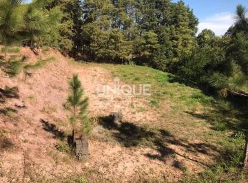 Terreno · 1810m² · Terreno À Venda, 1810 M² Por R$ 250.000,00 - Centro - Jarinu/Sp