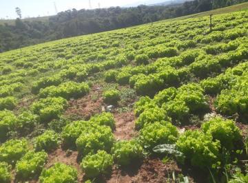 Rural , Ibiúna · IBIÚNA; LINDA ÁREA RURAL; grandes Possibilidades Olha só: 61.000m2 Documento100%