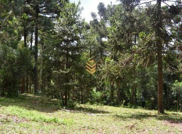 25531831_g.jpg ·
Área de 1,3 Hectares em Cambará do Sul