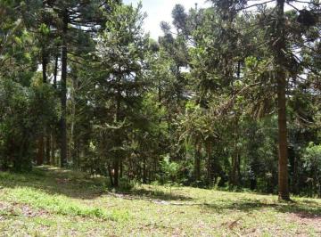 Terreno · Área de 1,3 Hectares em Cambará do Sul