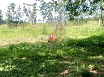 Rural · Rurais à venda - em Triunfo