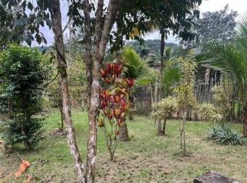 a85cb54fa1940e6052b0bb4875df2e88afa3a4a0 · Terreno à venda, 600 m² por R$ 190.000 - Capricórnio III - Caraguatatuba/SP