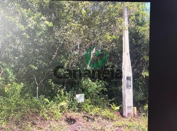 Foto 01 · Terreno com 315 m2 com licenciamento ambiental no Retiro das Caravelas - Cananéia SP