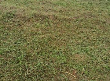 Terreno , Parnaíba · Lote condomínio conviver do litoral