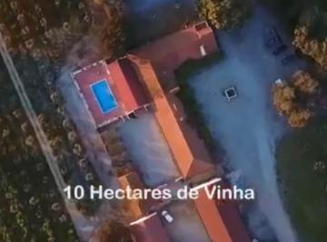 Rural de 17 quartos, São Paulo ·  317 Hectares / Vinicula + Adega 150mil litros vinho / 400 cabeça gado premium