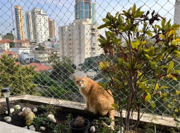 Apartamento de 4 quartos, São Paulo · Apartamento Residencial SANTANA