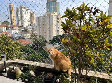 Apartamento de 4 quartos, São Paulo · Apartamento Residencial SANTANA
