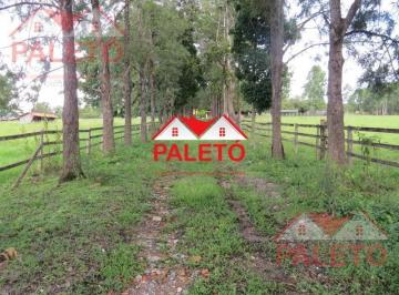 Rural · 350m² · 4 Quartos · 6 Vagas · Sítio 3 alqueires a venda na cidade de Porangaba interior de SP