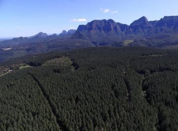Foto 06 · Fazenda à venda em Grão Pará-SC: 2 quartos, 2 salas, 1 banheiro, 1 vaga de garagem, 5,230,000 m² de 