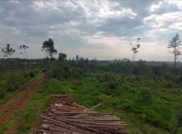 Comercial · SÍTIO PARDINHO - PARDINHO / SP