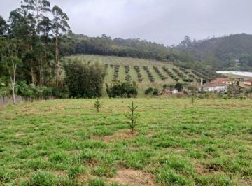 Rural · 200m² · Rurais à venda - em Cocuera